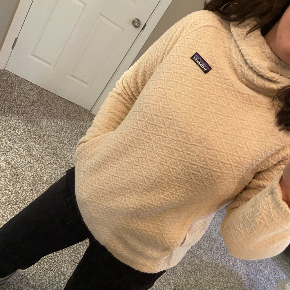 Patagonia Diamond Capra Hoody Small